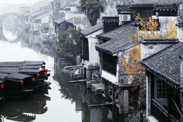 植物大战僵尸8
